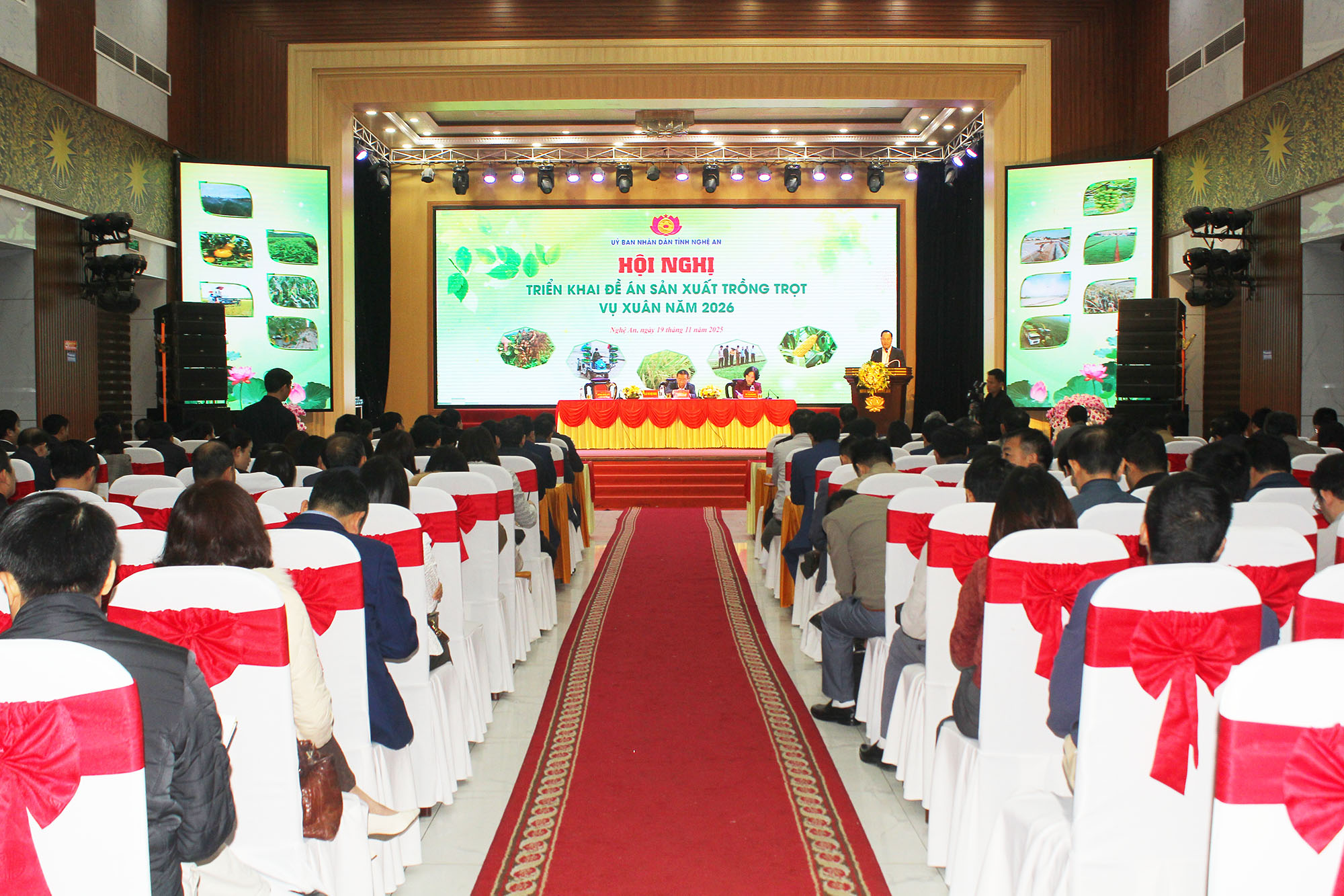 Vụ Xuân 2026, Nghệ An phấn đấu đạt 708.850 tấn lương thực