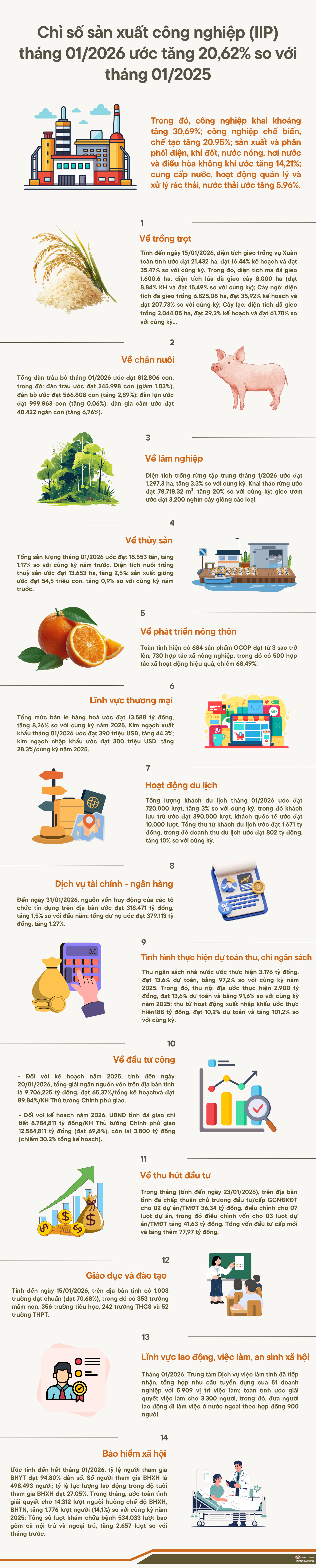 Chỉ số sản xuất công nghiệp (IIP) tỉnh Nghệ An tháng 01/2026 ước tăng 20,62% so với tháng 01/2025