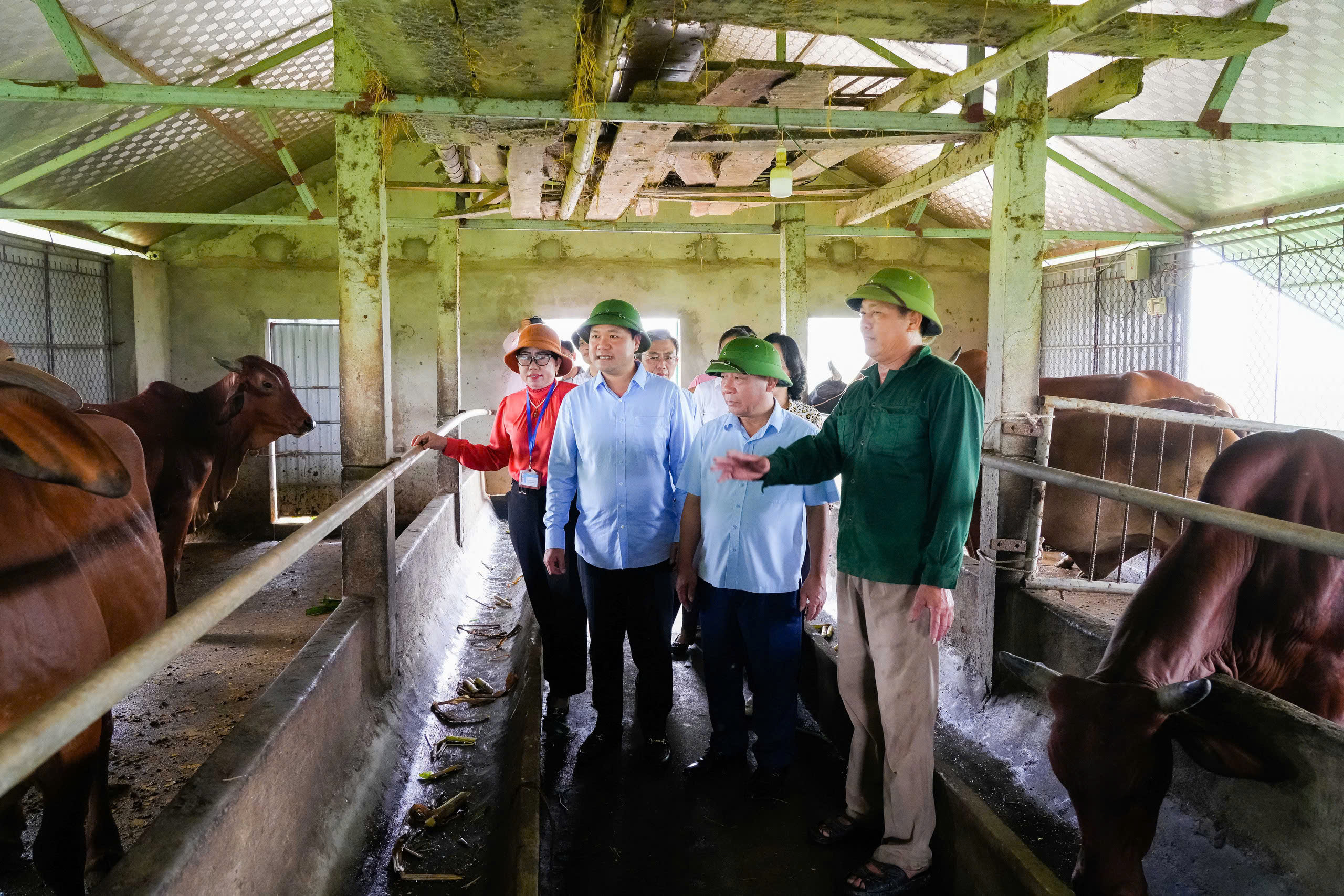 Nghệ An - Thúc đẩy tăng trưởng nông nghiệp năm 2026, phấn đấu GRDP đạt 5,46%