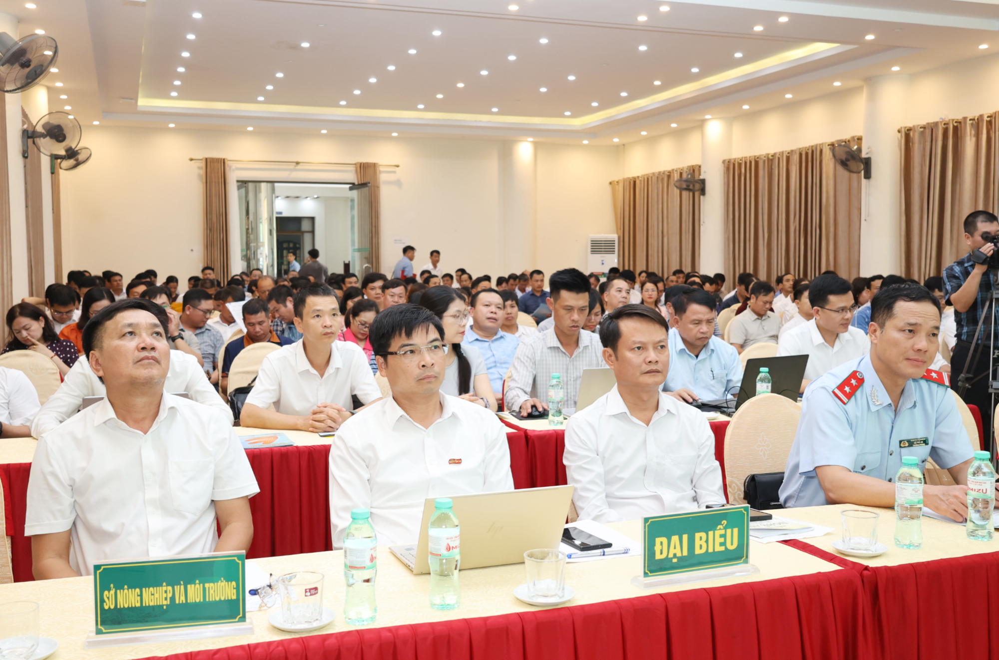Toàn tỉnh phấn đấu gieo trồng 31.271 ha cây trồng vụ Đông năm 2026