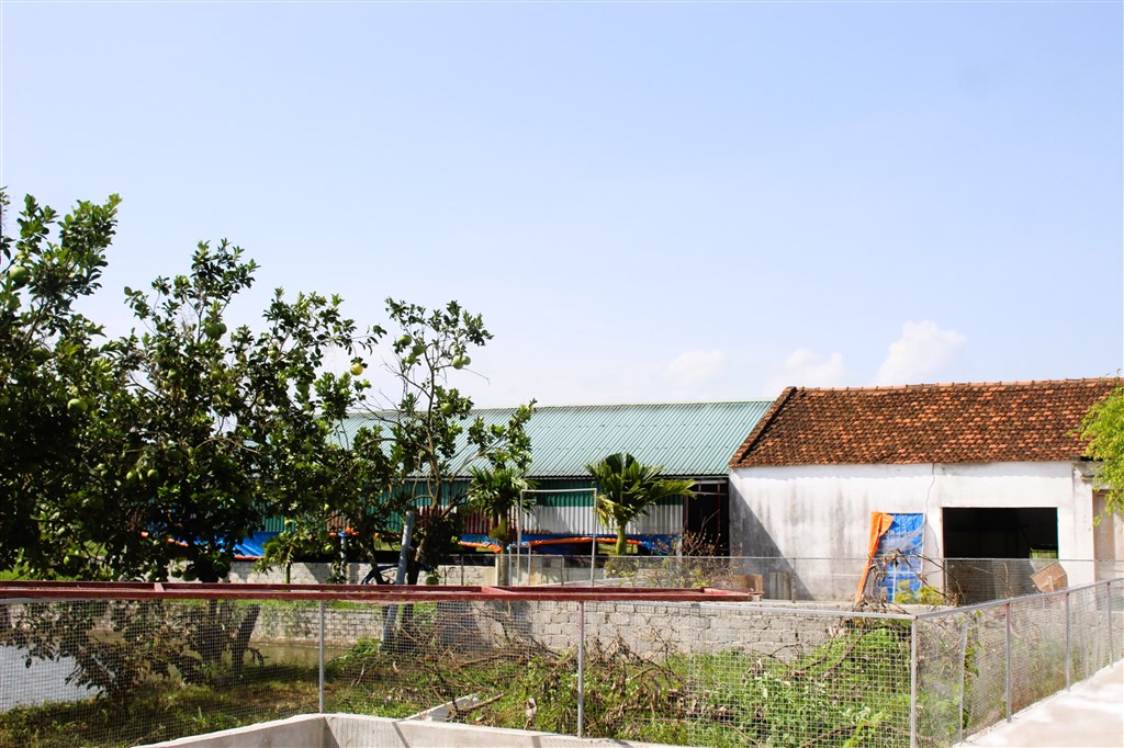 Anh-tin-bai