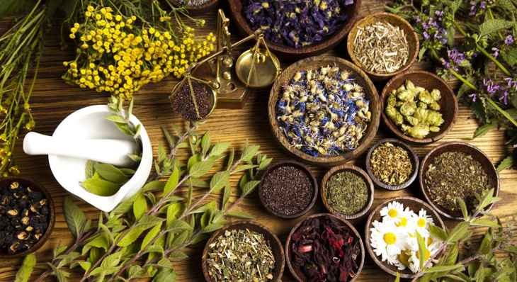 Thủ tướng Chính phủ phê duyệt chiến lược quốc gia phát triển nền y học cổ truyền Việt Nam đến năm 2030, tầm nhìn đến năm 2045