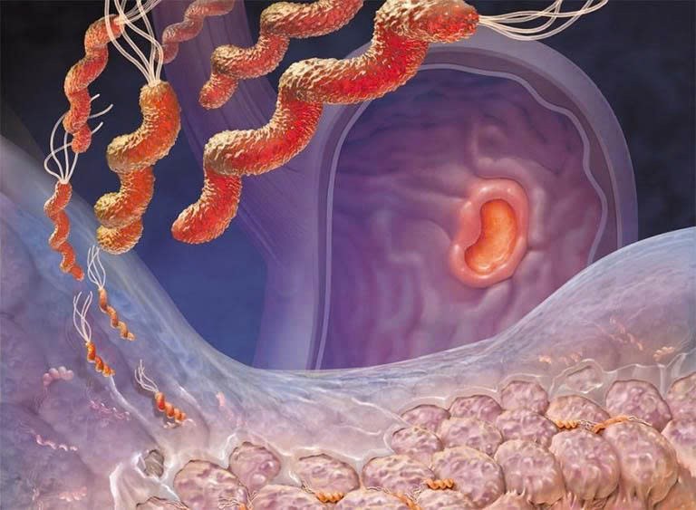 CTFK đề xuất đưa quy định cấm trưng bày sản phẩm thuốc lá tại các điểm bán vào văn bản pháp luật