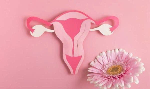 Phụ nữ có sẵn sàng chi trả cho xét nghiệm sàng lọc ung thư cổ tử cung?