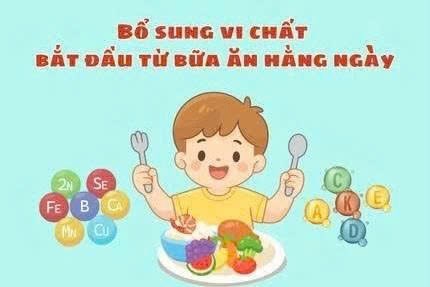 Vi chất dinh dưỡng rất cần thiết cho quá trình tăng trưởng, phát triển về thể lực, tầm vóc và trí tuệ, nâng cao sức khỏe, tăng cường sức đề kháng của cơ thể.