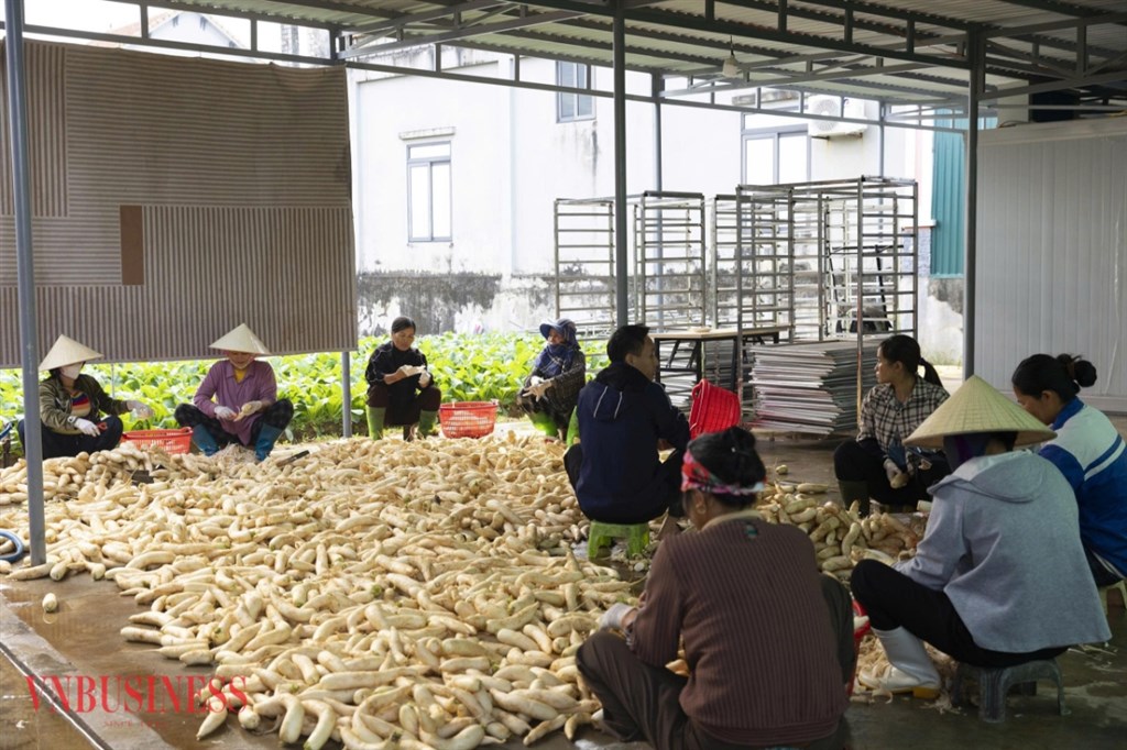Chế biến sâu, giải pháp nâng cao giá trị nông sản.