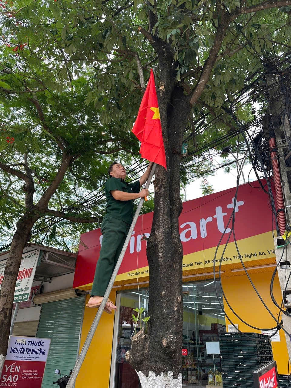 Anh-tin-bai