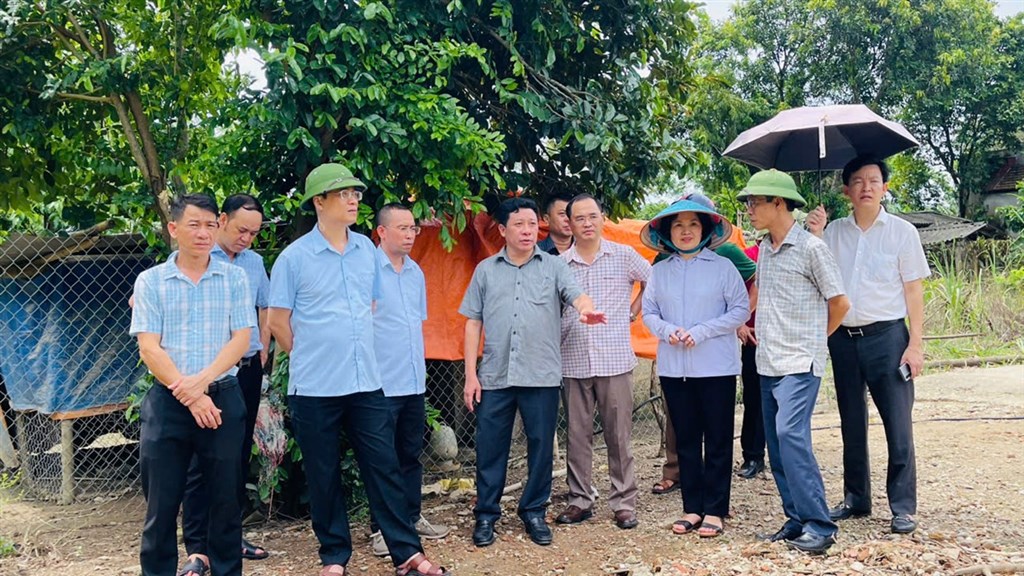 Anh-tin-bai