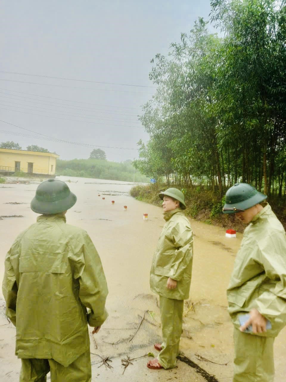 Anh-tin-bai