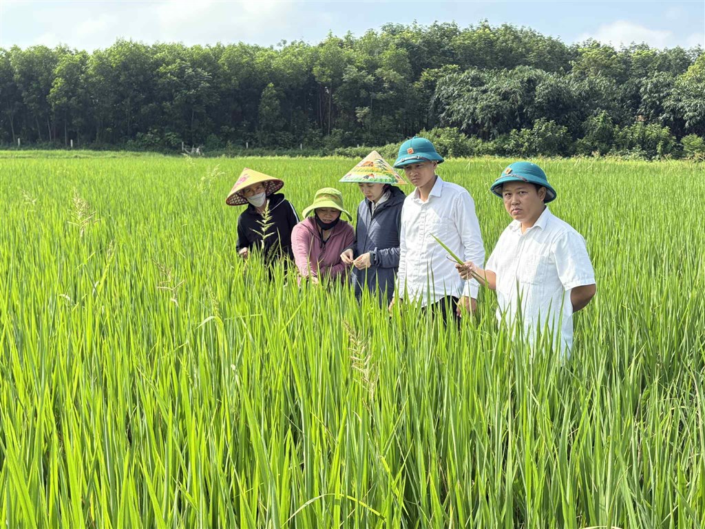 Anh-tin-bai