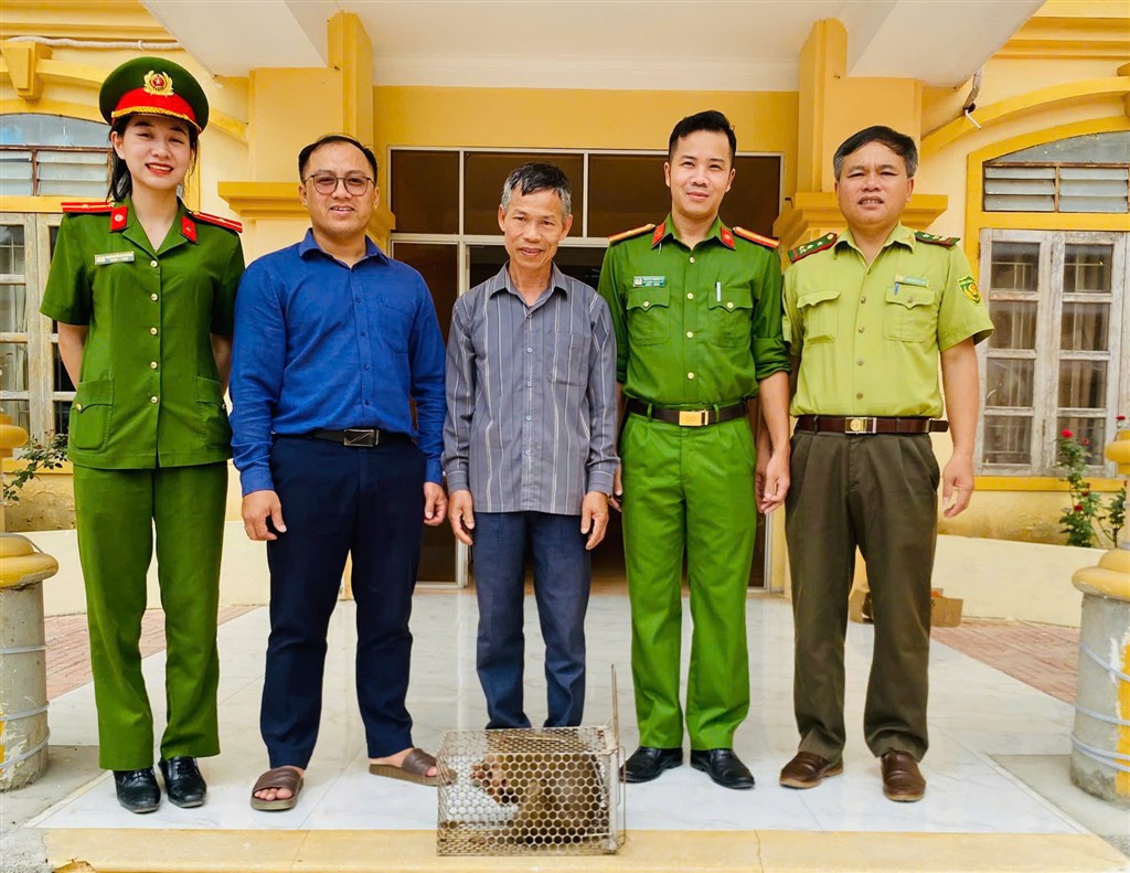 Anh-tin-bai