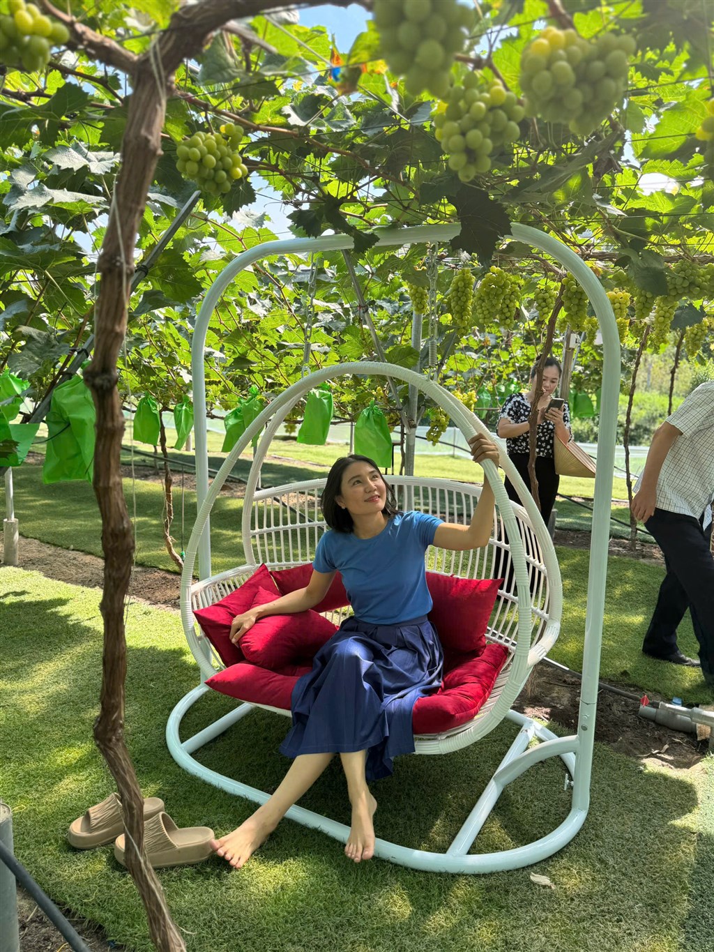 Anh-tin-bai