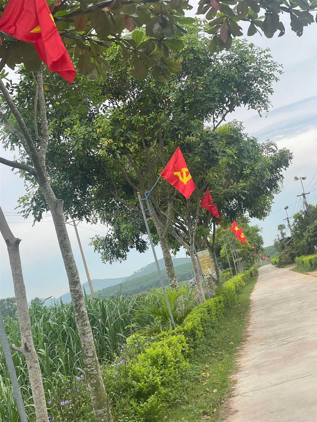 Anh-tin-bai