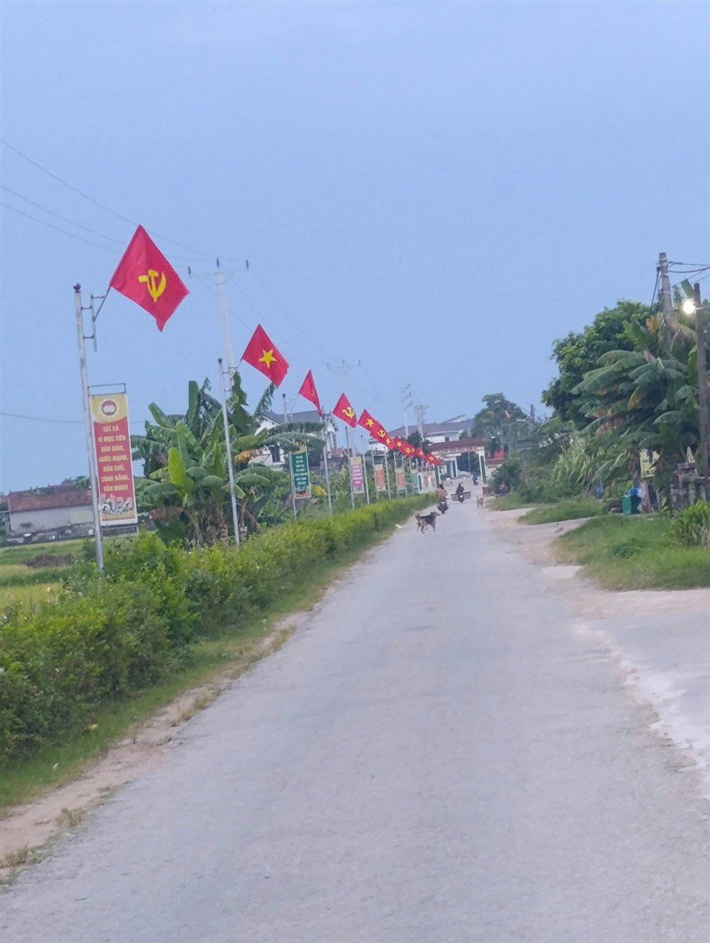 Anh-tin-bai