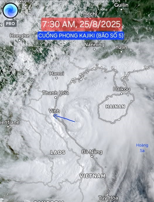 CẬP NHẬT DỰ BÁO BÃO SỐ 5 (8:00AM, 25/8/2025)