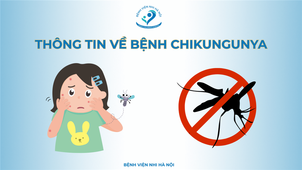 THÔNG TIN VỀ DỊCH BỆNH CHIKUNGUNYA