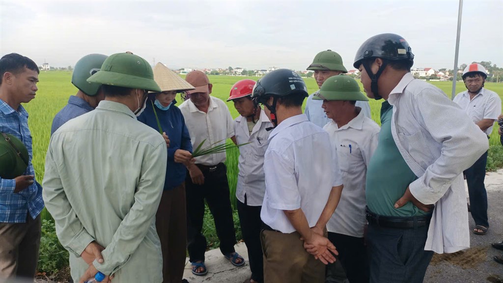 UBND  xã Đông Thành tổ chức thăm đồng bổ cứu sản xuất vụ hè thu