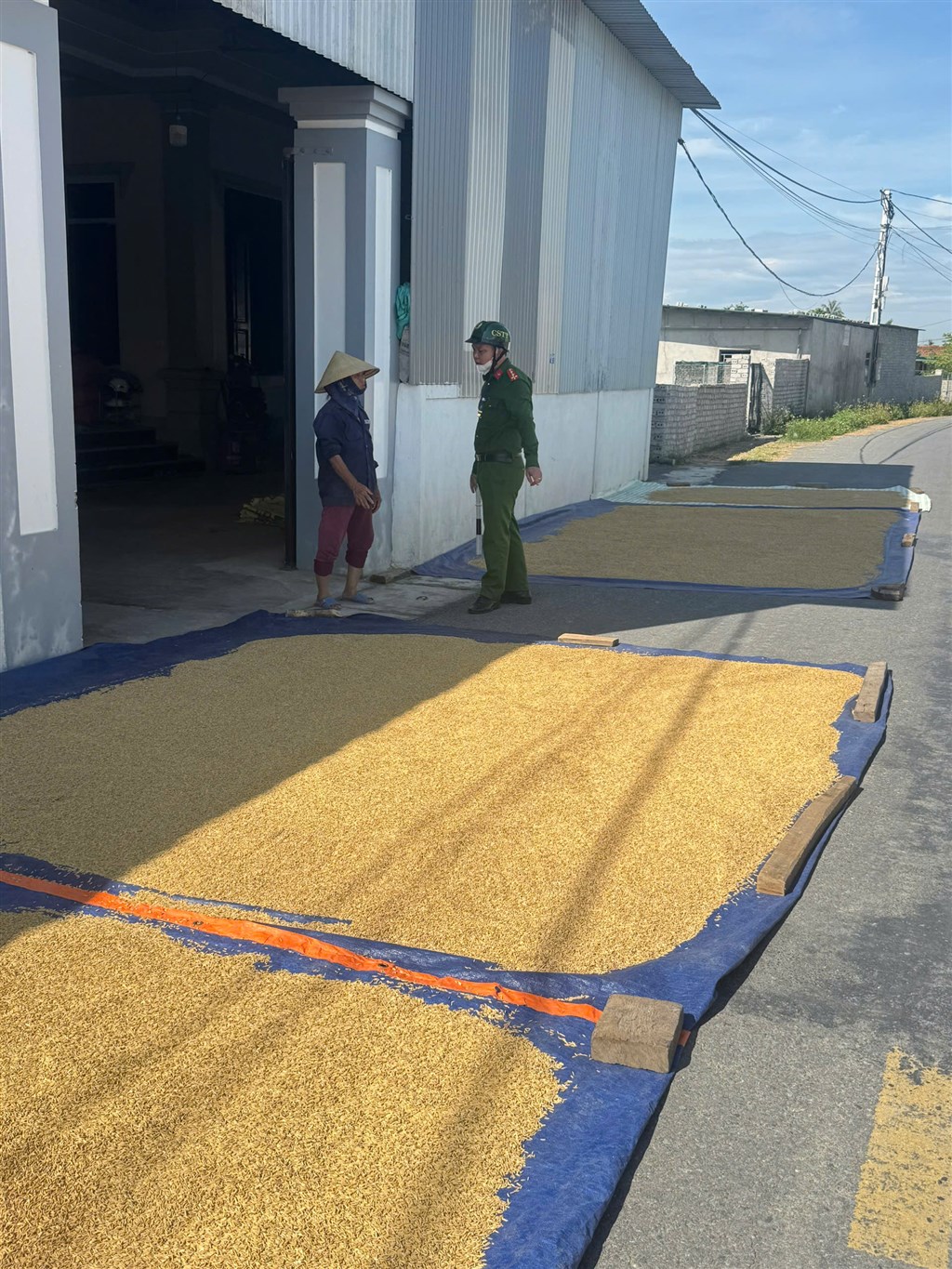 CẢNH BÁO NGUY CƠ CHÁY DO PHƠI, ĐỐT RƠM RẠ TRONG MÙA THU HOẠCH LÚA