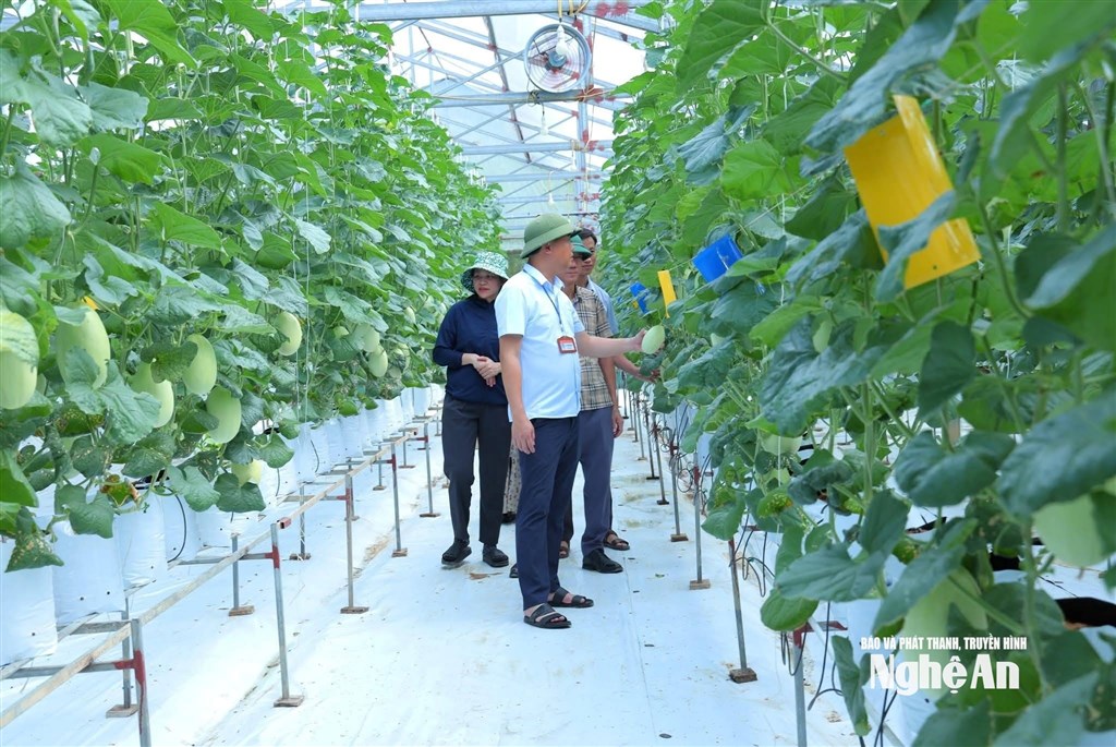 Đồng chí Lê Phạm Hùng – Bí thư Đảng ủy, Chủ tịch HĐND xã Hưng Nguyên Nam. Ảnh CSCC