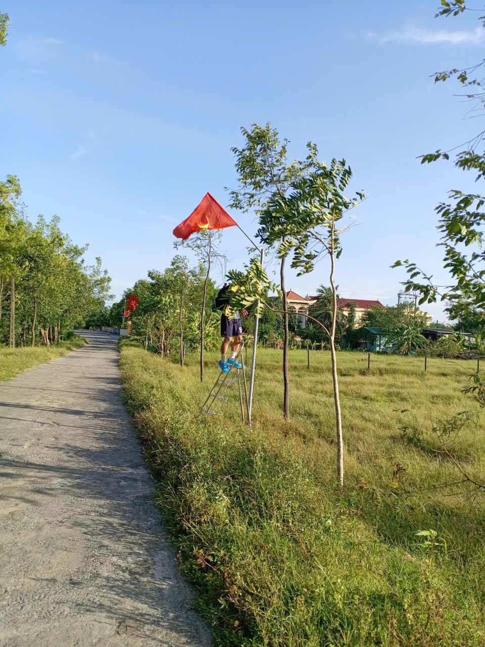 Anh-tin-bai
