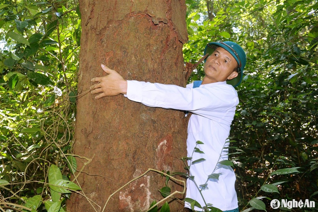 Anh-tin-bai