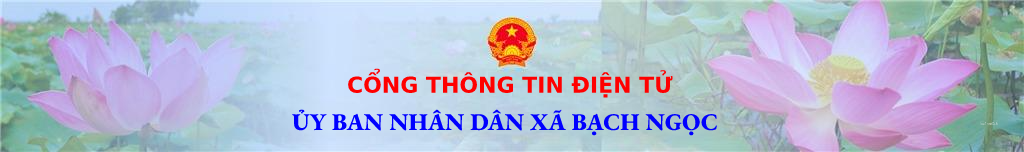 image banner