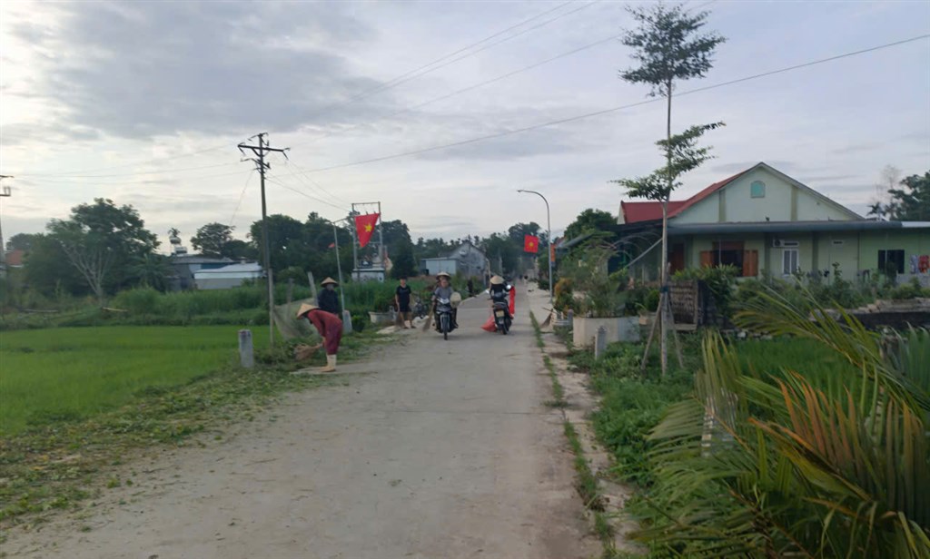 Anh-tin-bai